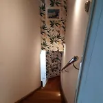Zorza Baltyku Zloty *