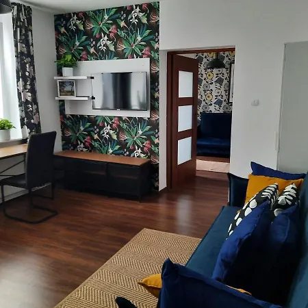 Zorza Baltyku Zloty *